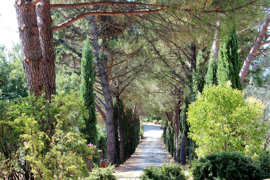 Agriturismo Antico Borgo Poggitazzi Villa Loro Ciuffenna Luaran gambar